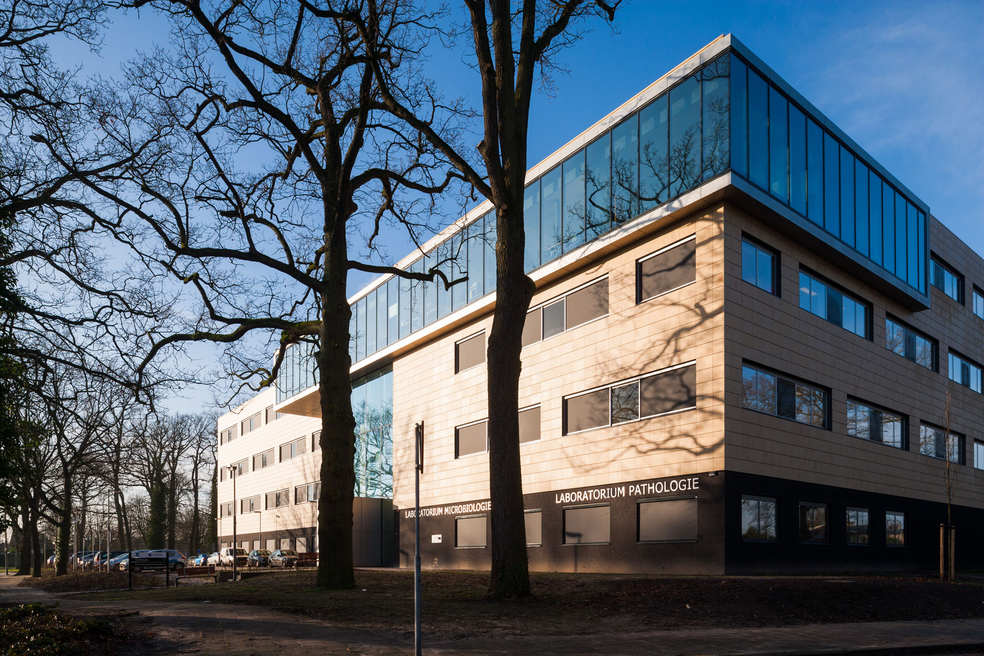 20140114_0130 image Startpagina Laboratorium Pathologie Oost Nederland 20140114_0130 Startpagina Laboratorium Pathologie Oost Nederland