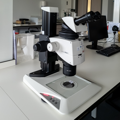 Stereomicroscoop-1 image Moleculaire diagnostiek LabPON Stereomicroscoop 1