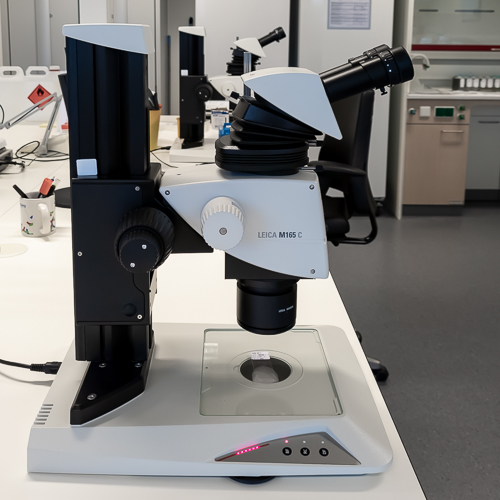 Stereomicroscoop-2 image Moleculaire diagnostiek LabPON Stereomicroscoop 2