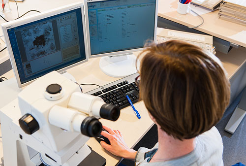 beoordelen-cytologie image Stage bij Beoordelen Cytologie