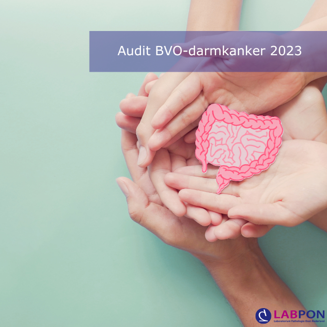 BVO_Darmkanker_2023_1 image BVO Colon audit succesvol doorstaan  BVO Darmkanker 2023 1