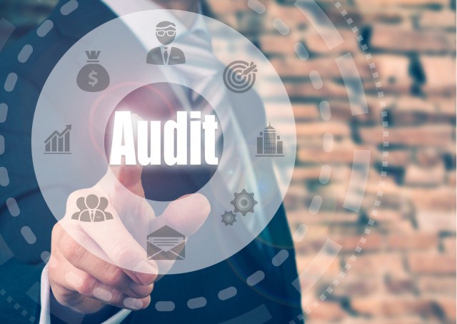 RVA-audit-2022 image Infobulletin december 2022 RVA audit 2022