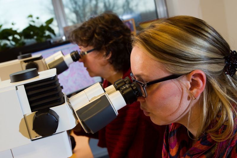 beoordeling-door-patholoog-labpon-4692348f image Histologie beoordeling-door-patholoog-labpon-4692348f Histologie