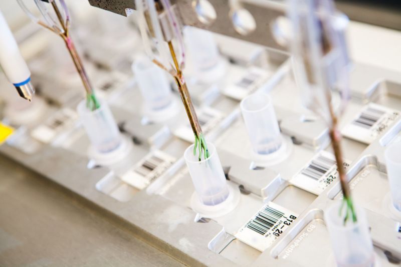 6d59cdce image Cytologie 6d59cdce Cytologie