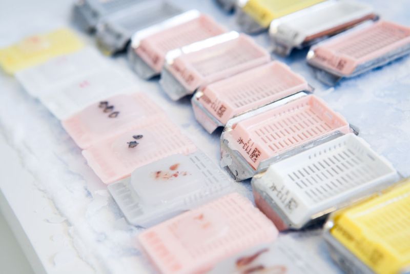 9443cb66 image Histologie 9443cb66 Histologie