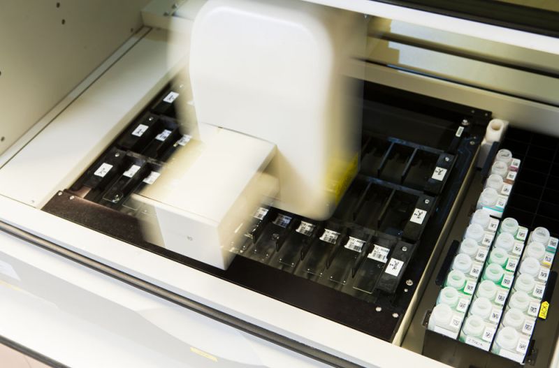 immunokleuring-labpon-9b75bcf2 image Histologie immunokleuring-labpon-9b75bcf2 Histologie