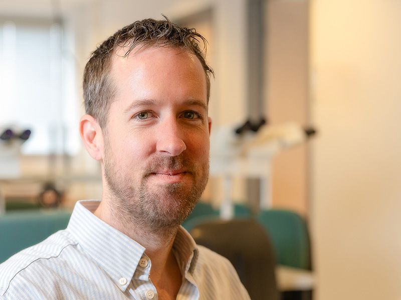 pieter-van-der-vorm-b3a4ced2 image Pathologen en subspecialisaties pieter-van-der-vorm-b3a4ced2 Pathologen en subspecialisaties