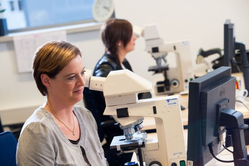 d8004a11 image Cytologie d8004a11 Cytologie