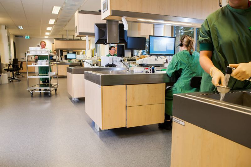 f455581b image Histologie f455581b Histologie