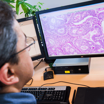 LabPON wereldwijd koploper in digitalisering werkwijze pathologisch laboratorium