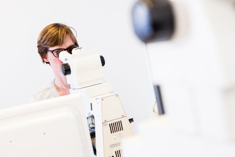 analist-stelt-diagnosevoorstel-patholoog-labpon-5181b7af image Onderzoek baarmoederhalskanker analist-stelt-diagnosevoorstel-patholoog-labpon-5181b7af Onderzoek baarmoederhalskanker
